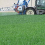 L’étude qui rappelle les bienfaits de la productivité en agriculture
