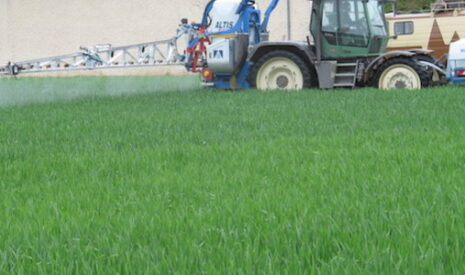 L’étude qui rappelle les bienfaits de la productivité en agriculture