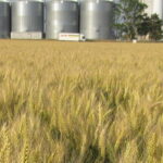 Le plan silos 2011-2016 tourne rond