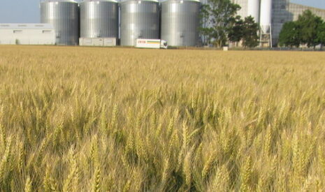 Le plan silos 2011-2016 tourne rond