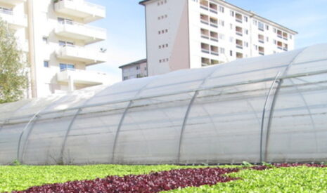 Maraicher d’Annemasse, la solution existe
