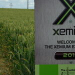 Fongicides céréales, enjeux et innovations 2013