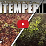 L’impact des intempéries sur les cultures agricoles