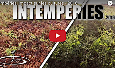 L’impact des intempéries sur les cultures agricoles