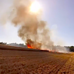 Moisson 2018, soudain un incendie détruit 5 hectares d’orge !