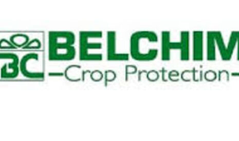 Nouveaux herbicides pomme de terre