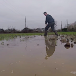 Comment agir en cas d’inondation dans un champ agricole