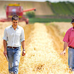 Crise sanitaire, l’agriculture suscite des vocations mais la profession effraie