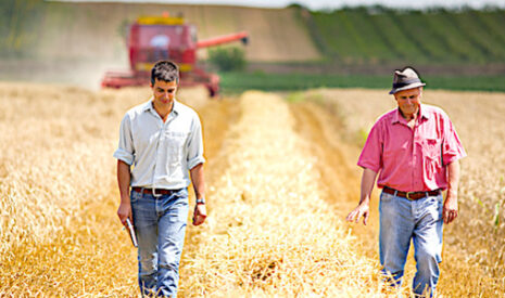 Crise sanitaire, l’agriculture suscite des vocations mais la profession effraie
