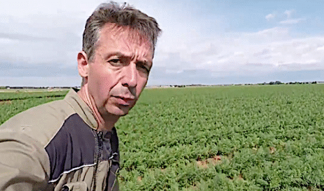Pourquoi j’irrigue mes carottes alors qu’il a plu