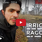 Irrigation agricole et ragondins