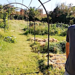 Comment créer un sol vivant pour un potager