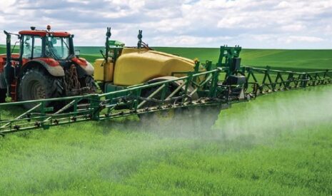 La solution génétique : RGT TWEETEO, la première variété de blé tendre tolérante à la JNO