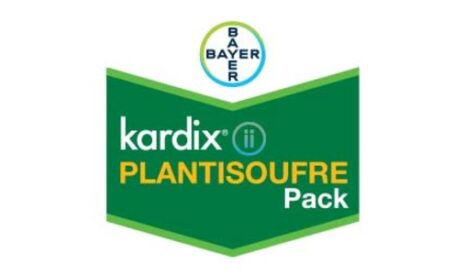 Lancement du pack Kardix®-plantisoufre : gain d’IFT et performance maintenue contre la septoriose du blé.