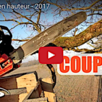 Coupe de bois en hauteur