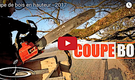 Coupe de bois en hauteur