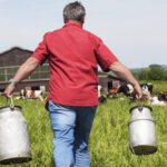 Lait et environnement en Europe, une réglementation variable