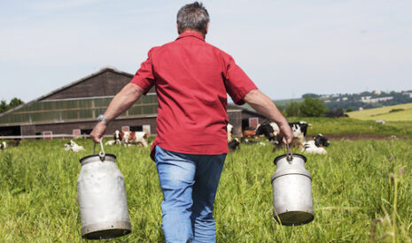 Lait et environnement en Europe, une réglementation variable