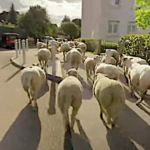 Le champ des possibles, les néo-paysans s’affichent sur France 5