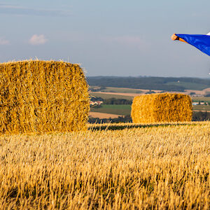 lections europ ennes 2019 agriculture