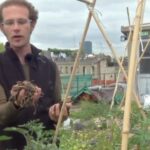 Quand Le Monde parle d' »agriculture urbaine » pour un jardin sur un toit