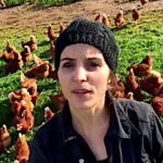 Avec Les Jolies Rousses, Youtube s’enrichit d’une chaine sur l’aviculture