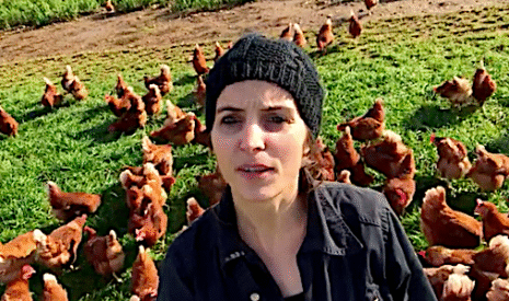 Avec Les Jolies Rousses, Youtube s’enrichit d’une chaine sur l’aviculture