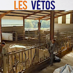 A voir au cinéma, Les vétos