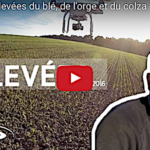 Tour de plaine, levées du blé, de l’orge et du colza
