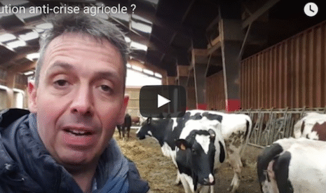 L’élevage laitier bio, une solution anti crise agricole ?