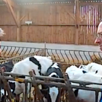 Quand un céréalier de l’Indre découvre un élevage laitier breton performant