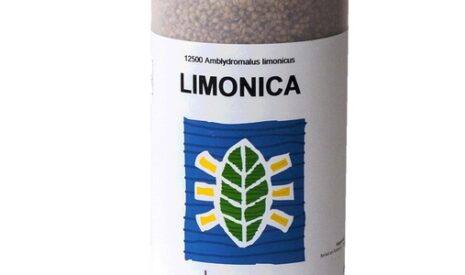 Limonica, un nouvel auxiliaire qui n’a pas froid aux yeux