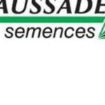 MEMORI CS, 1er colza hybride – Caussade Semences inscrit en France !