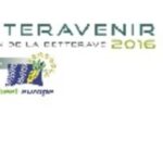 Plus de 12000 visiteurs pour la betterave sucrière à Moyvilliers !