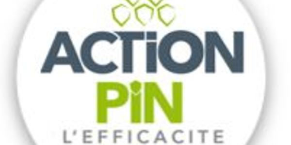 logo action pin