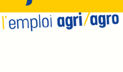 L&rsquo;Apecita fait sa révolution ! Un nouveau site, une nouvelle image