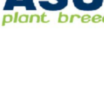 Saaten‐Union Recherche devient Asur Plant Breeding