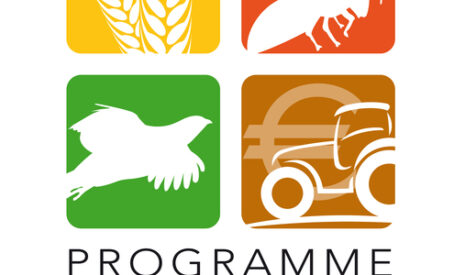 Indicateurs de biodiversité, vers un développement de BiodiversID en 2013