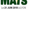 Au coeur de Jour de Maïs : la durabilité du désherbage