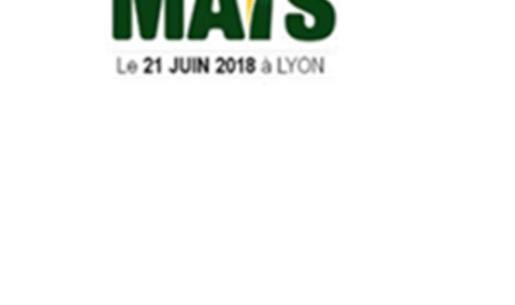 Au coeur de Jour de Maïs : la durabilité du désherbage