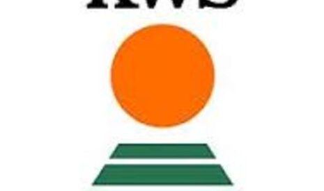 Phoma Protect 2.0 : KWS inscrit 2 hybrides colza au catalogue français avec un nouveau gène de résistance totale au phoma