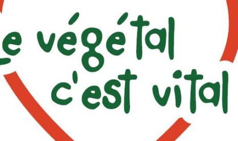 La grande Odyssée de la Planète Semences