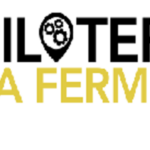 La récolte 2020 met en lumière que la ferme céréalière française est structurellement malade.