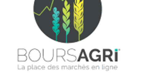 La plateforme Boursagri, big-bang dans le commerce du grain ?