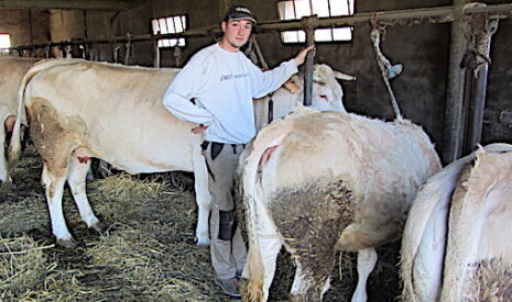 Un agriculteur de 26 ans sauve son exploitation en sollicitant les internautes