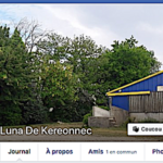 La cochonne qui explique ses conditions d’élevage avec son propre compte Facebook