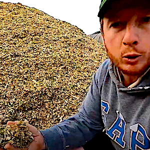 ma s fourrage ensilage