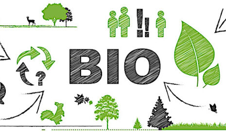Les aides bio pourront-elles durer ?