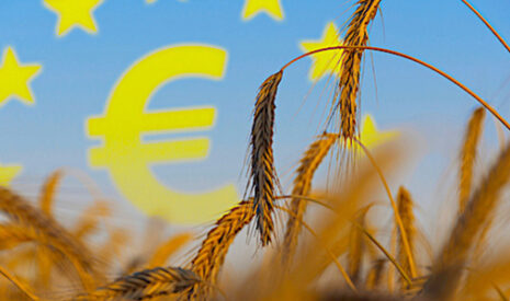 Agriculture et réchauffement climatique, les perdants et les gagnants à l’horizon 2050