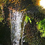La marchandisation de l’eau, ou comment mettre en place une arnaque